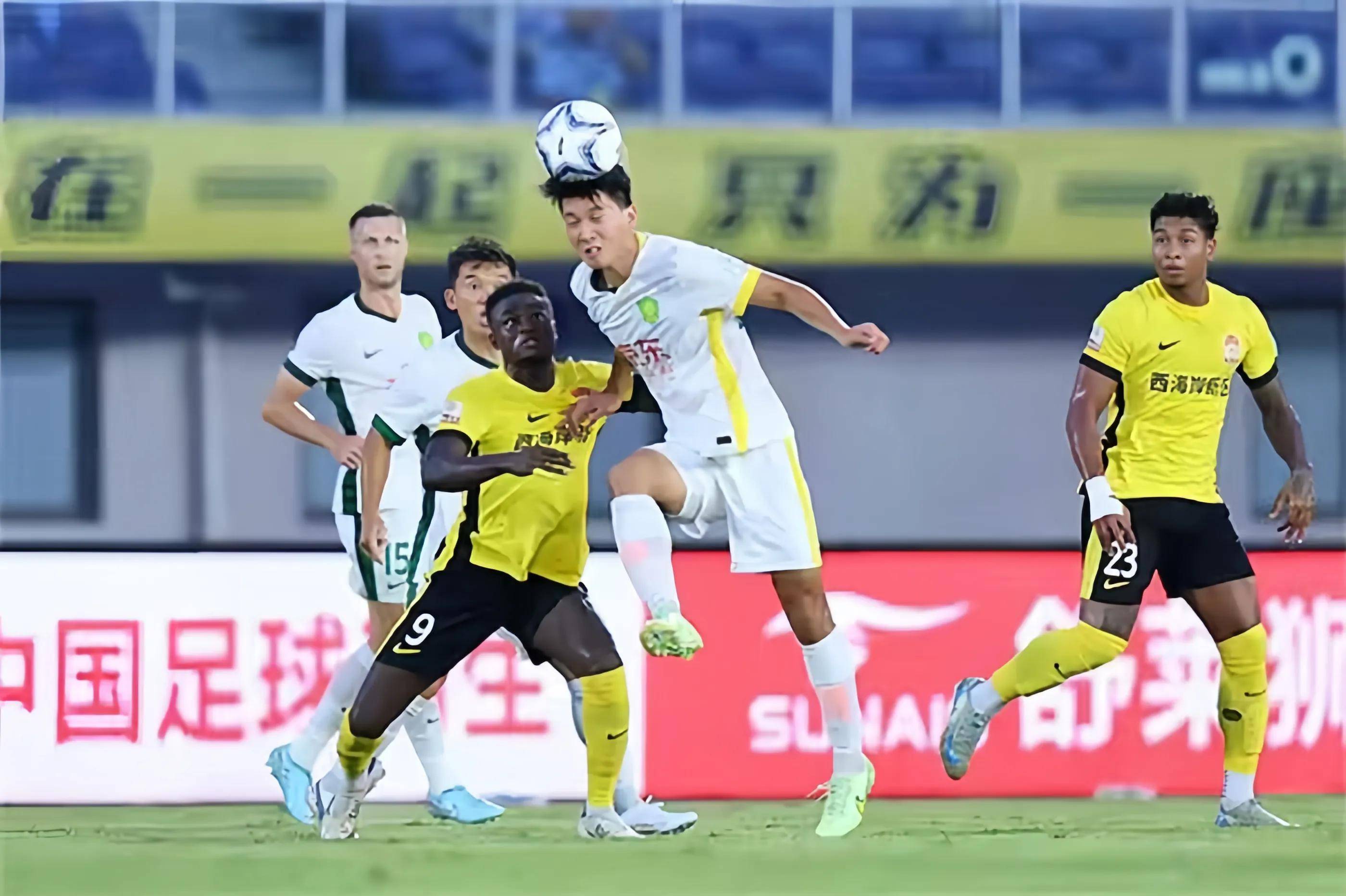 无论是在理 无论是在理