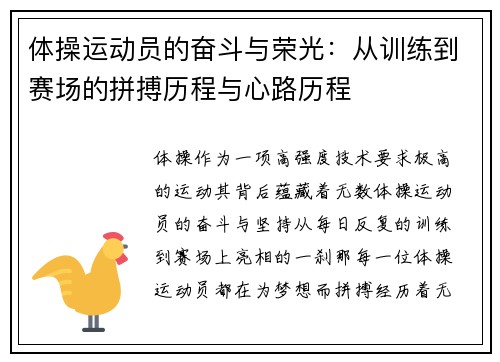 体操运动员的奋斗与荣光：从训练到赛场的拼搏历程与心路历程